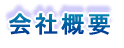 Vꗗ